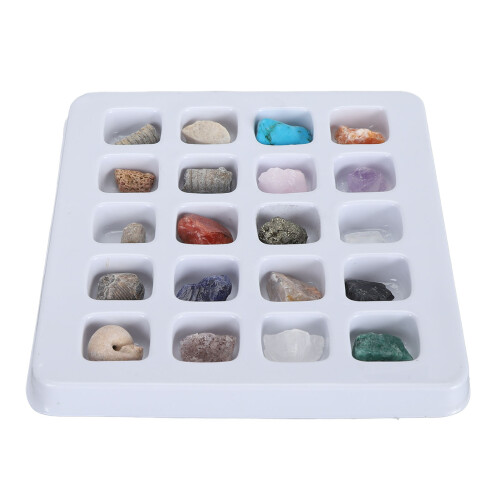 (Type 2) 20pcs Rock Stone Collection Kit Kids Science Set Type 1 1