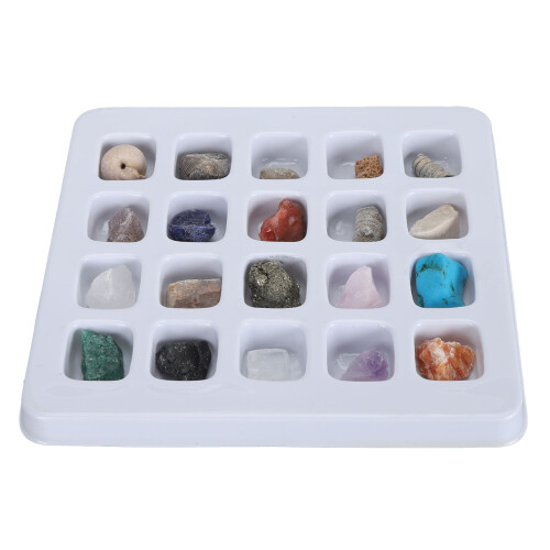 (Type 2) 20pcs Rock Stone Collection Kit Kids Science Set Type 1 2