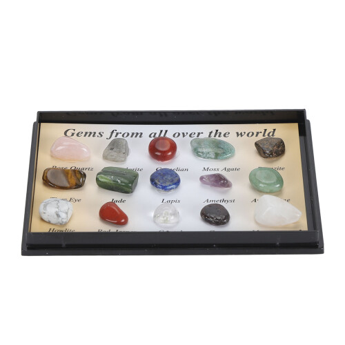 (Type 1) Rock Collection Kit for Kids Science Minerals Educational Kit 1