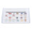 (Set 2) Rock Science Kit with Display Case for Kids 2 1