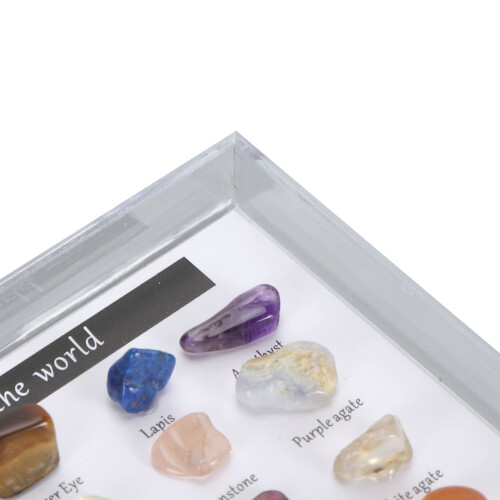 (Set 2) Rock Science Kit with Display Case for Kids 2 2