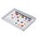 (Set 2) Rock Science Kit with Display Case for Kids 2 5