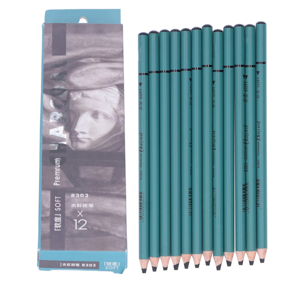 12Pcs Charcoal Pencils Flexible Smooth Drawing Sketching Art Supplies-image-OPC-PMFTZKZ-NEW