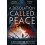 A Desolation Called Peace by Arkady Martine Paperback Book 1