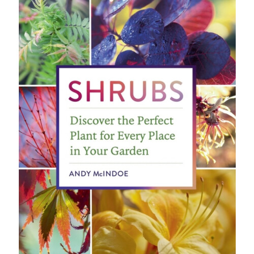 Shrubs by Andy McIndoe Hardcover Book