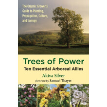 Trees of Power by Akiva Silver Paperback Book