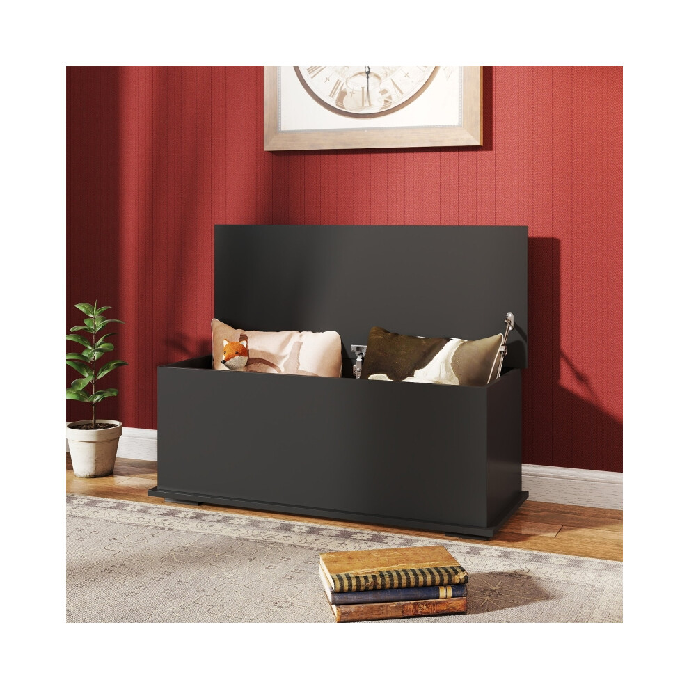 Storage Chest 113L with Flip-Top Lid & Safety Hinges - Black 100x40x40 cm Compact Trunk for Living Room & Entryway-image-OPC-PMFXTJP-NEW