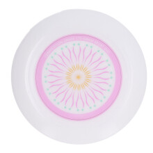 Pink Outdoor Flying Disc – Portable 10.8in Fitness & Beach Toy