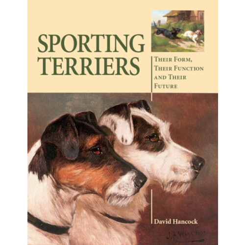 Sporting Terriers by Hancock David MBE Hardcover Book