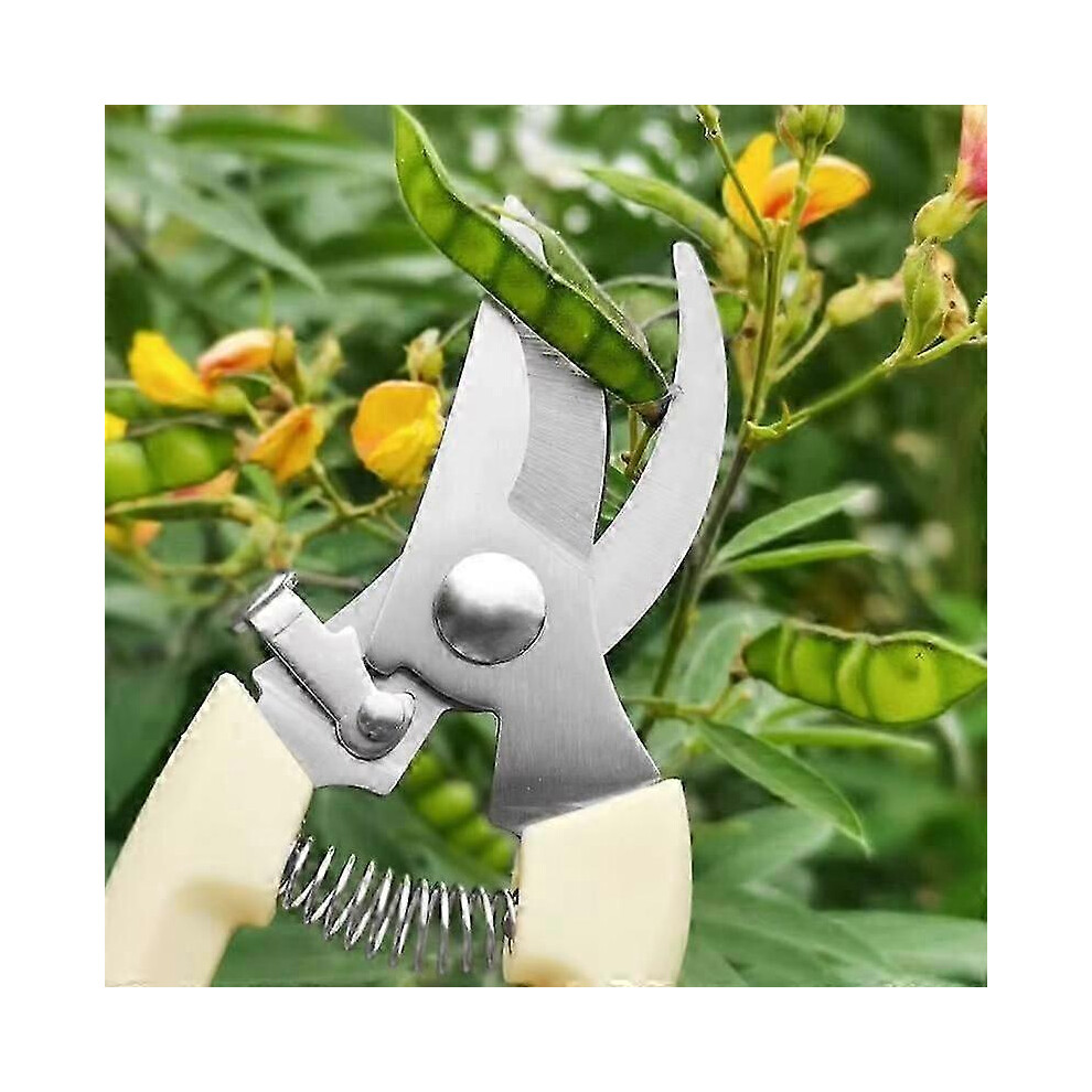 (B) Pruning shears, hand tools, bonsai for gardening, stainless steel pruning shears, scissors for flowers, branches, grass