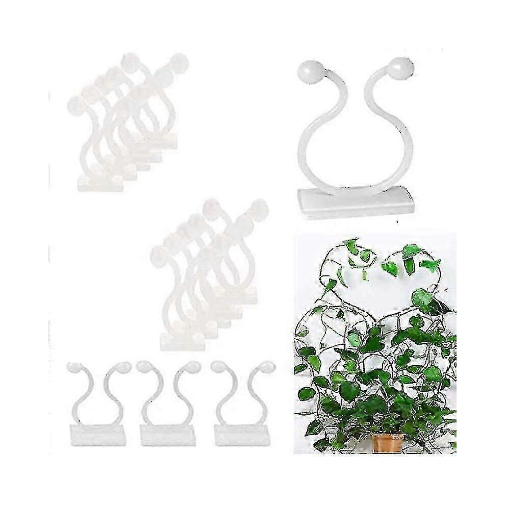Pack of 50 self-adhesive cable ties for climbing plants