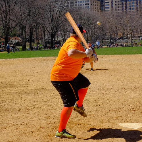 Wood Baseball Bat 21 Inch Hardwood Solid Training Bat For Kids Beginners 2