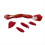 Human Lower Limbs Leg Muscles Blood Vessels Nerves Structure Model 4