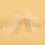 20Pcs Clear Acrylic Coin Display Stand Holders Small Easel Rack 6