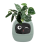 Flowerpot Plant Robot Rich Expression Interaction Companion Gift,C 2