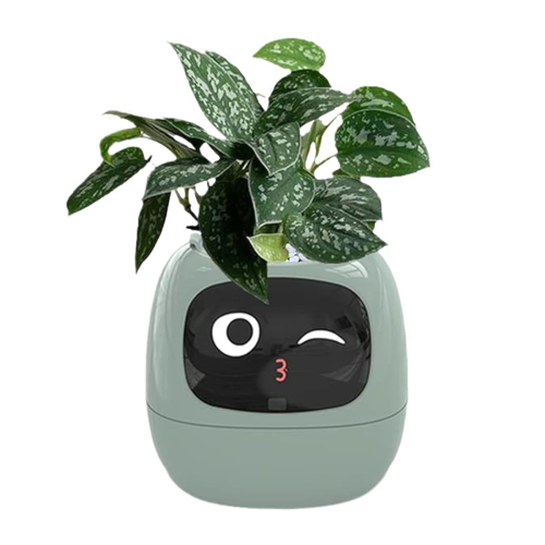 Flowerpot Plant Robot Rich Expression Interaction Companion Gift,C 1
