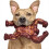 Indestructible Dog Chew Toys 1