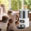 Dispensador automático de comida para gatos e cães de 3 litros 5