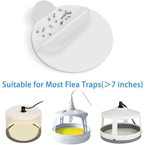 Fleas Trap Refill Discs Replacement Boards 50 Count For Most Models Sticky Dome Flea Bed Traps Inside Your Home 1