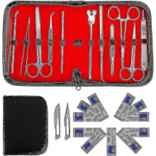 (As show, One size) 22 Pcs Minor Surgery Set Surgical Instruments Kit Stainless Steel Dissecting Scissors Tweezers1222