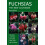 Fuchsias by George Bartlett Paperback Book 1