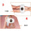 Slimming Belt Three-Mode Automatic Adjustment Promotes Fat Breakdown For Waist, Legs, Buttocks, And Back 4