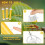 Fly Stick Trappole adesive per mosche per interni ed esterni 15 pezzi 5