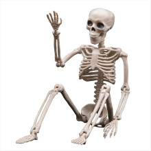 Halloween Skeletons Decorations, Posable Plastic Skeleton