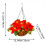 Christmas Hanging Basket 4