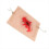 Trauma Wound Simulation Module Trauma Wound Skin Module 6