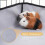 Guinea Pig Cage Liner Waterproof Washable Base 4