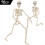 Life Size Poseable Skeleton Halloween Decoration Full Human Body 3