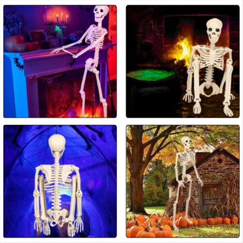 Life Size Poseable Skeleton Halloween Decoration Full Human Body 1