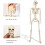 Life Size Poseable Skeleton Halloween Decoration Full Human Body 7