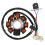 8000A4245 Bobina statore per TC TE 2