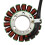 3090278 Motorcycle Generator Stator Coil for Trail Blazer 5