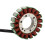 3090278 Motorcycle Generator Stator Coil for Trail Blazer 3