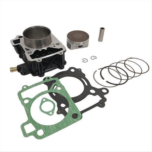 Motorcycle Engine Cylinder Piston Kit for 200NS Rouser 2
