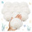 25pcs Large Scallop Shells for Crafts 4-5inch White Scallop Shells 1