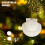 25pcs Large Scallop Shells for Crafts 4-5inch White Scallop Shells 5