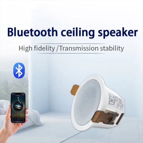 High Quality Bluetooth Ceiling Speaker Professional Surround Sound 1