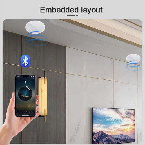 High Quality Bluetooth Ceiling Speaker Professional Surround Sound 2