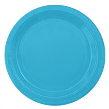Paper Plate Fruit Cake Picnic Dessert 9-Inch Plate Lake Blue