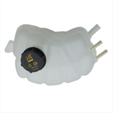 Serbatoio di troppo pieno del radiatore dell'auto con tappo F2G3-8A080-AE per
