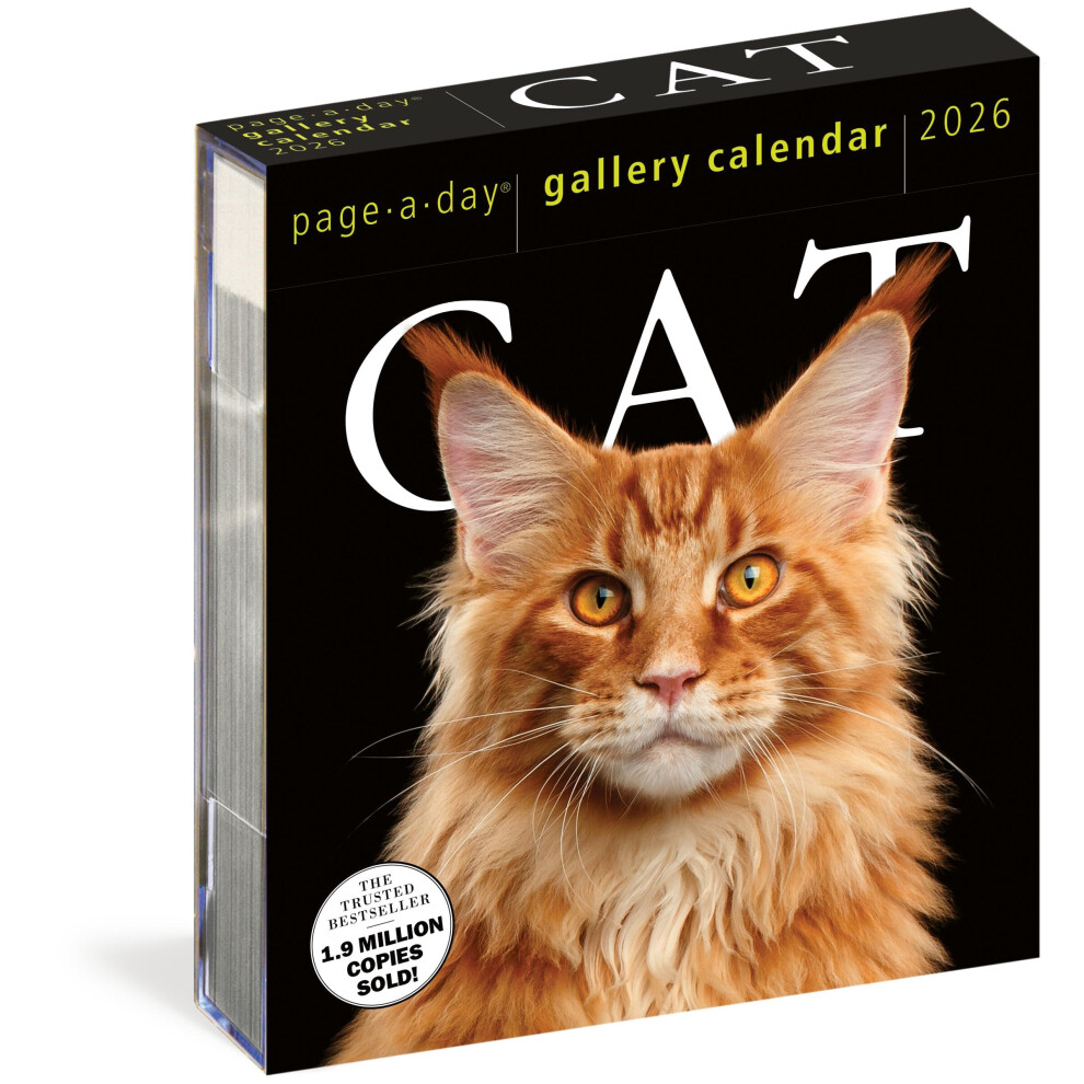 Workman Calendars Cat Page | A | Day Gallery Calendar 2026 | A Delightful Gallery Of