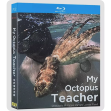 My Octopus Teacher (2020)：1-Disc TV Series 1080P BD All Region New Box Set