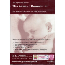 The Labour Companion by Maggie Howell Audio Book