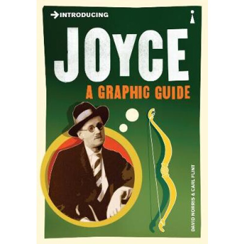 Introducing Joyce by David Norris Paperback Book