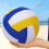 Size 5 Volleyball Regulation-Size Machine-Stitched Durable For Practice 5
