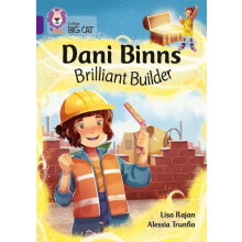 Dani Binns Brilliant Builder by Lisa Rajan Paperback Book